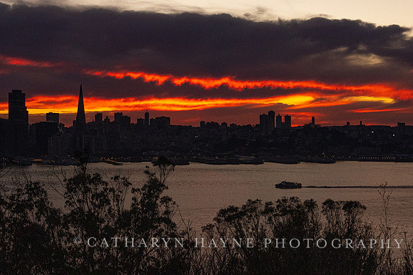 Treasure Island