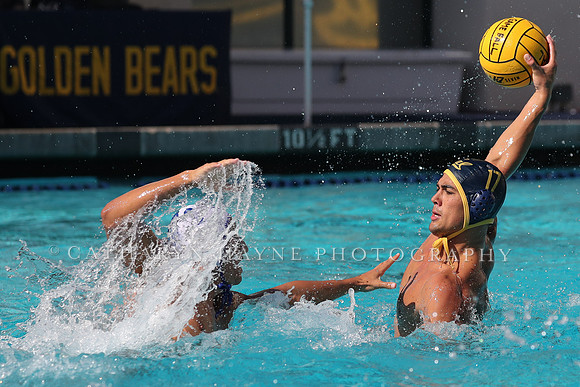 Collegiate Mens Water Polo: California Golden Bears vs UC Santa Barbara Gauchos