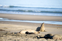 Point Reyes