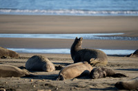 Point Reyes