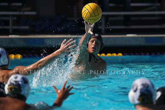 High School Water Polo: Redwood High School Varsity vs Palo Alto High School Varsity