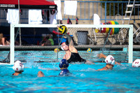 USA Water Polo: Womens Senior Nationals: Cal Golden Bears vs Stanford Cardinals