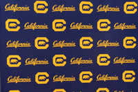 Baseball: California Golden Bears : For the Love of the Game
