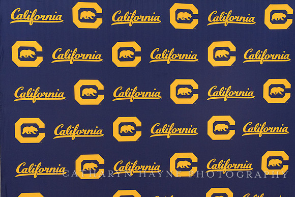 Baseball: California Golden Bears : For the Love of the Game