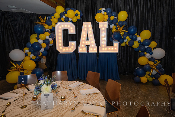 Baseball: California Golden Bears : For the Love of the Game