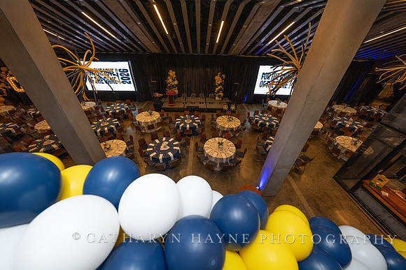 Baseball: California Golden Bears : For the Love of the Game