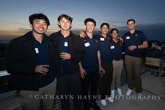 Baseball: California Golden Bears : For the Love of the Game