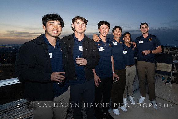 Baseball: California Golden Bears : For the Love of the Game