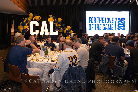 Baseball: California Golden Bears : For the Love of the Game