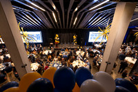 Baseball: California Golden Bears : For the Love of the Game