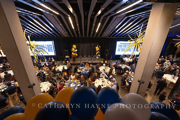 Baseball: California Golden Bears : For the Love of the Game