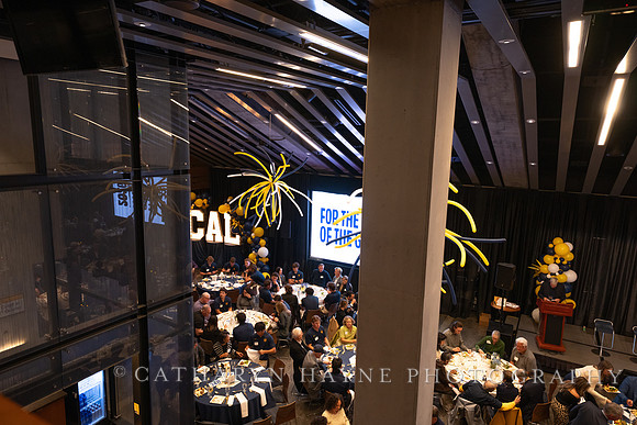 Baseball: California Golden Bears : For the Love of the Game