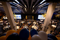 Baseball: California Golden Bears : For the Love of the Game