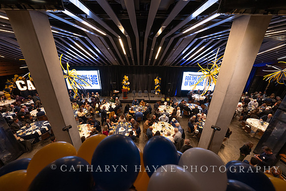 Baseball: California Golden Bears : For the Love of the Game