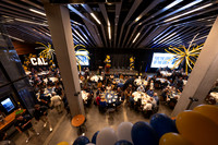 Baseball: California Golden Bears : For the Love of the Game