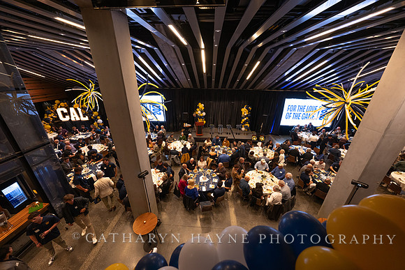 Baseball: California Golden Bears : For the Love of the Game