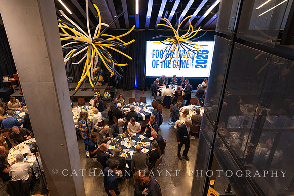 Baseball: California Golden Bears : For the Love of the Game