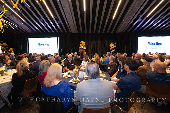 Baseball: California Golden Bears : For the Love of the Game