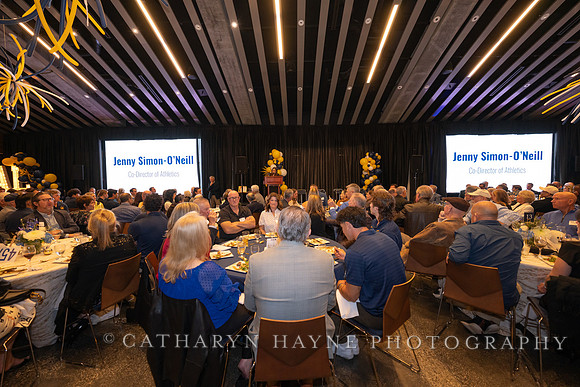 Baseball: California Golden Bears : For the Love of the Game