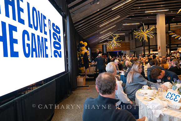 Baseball: California Golden Bears : For the Love of the Game
