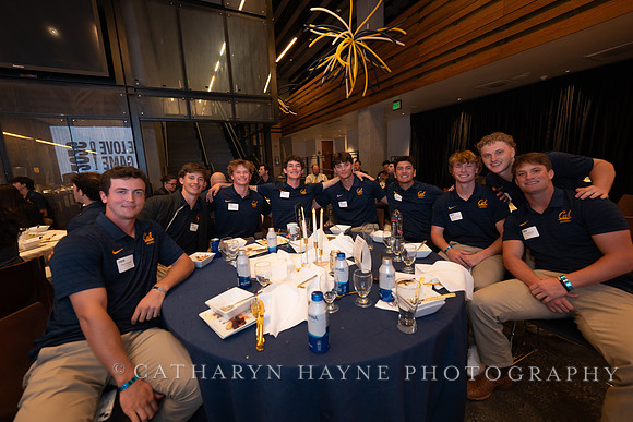 Baseball: California Golden Bears : For the Love of the Game