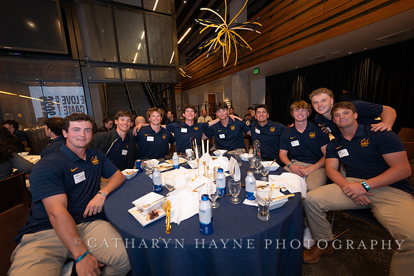 Baseball: California Golden Bears : For the Love of the Game