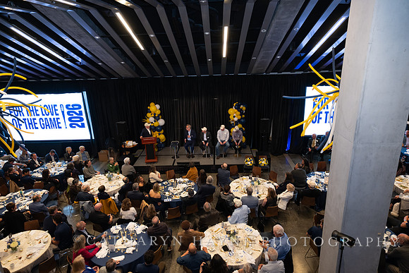 Baseball: California Golden Bears : For the Love of the Game