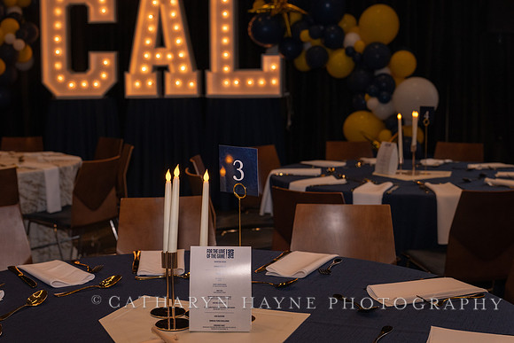 Baseball: California Golden Bears : For the Love of the Game