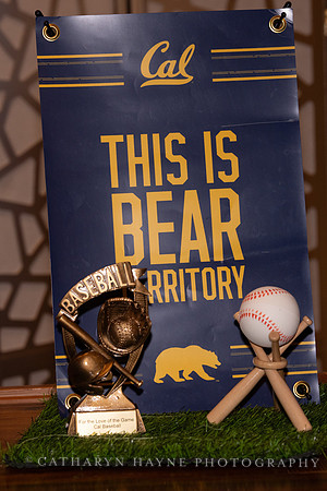 Baseball: California Golden Bears : For the Love of the Game
