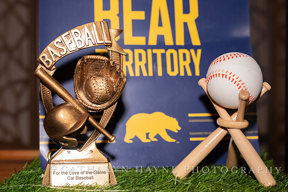 Baseball: California Golden Bears : For the Love of the Game