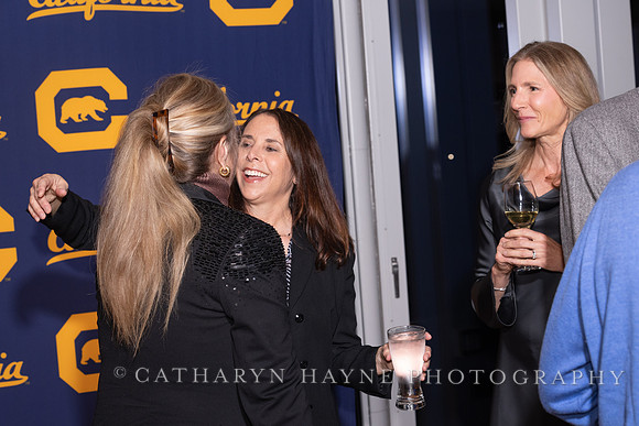 Baseball: California Golden Bears : For the Love of the Game