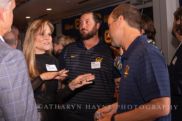 Baseball: California Golden Bears : For the Love of the Game
