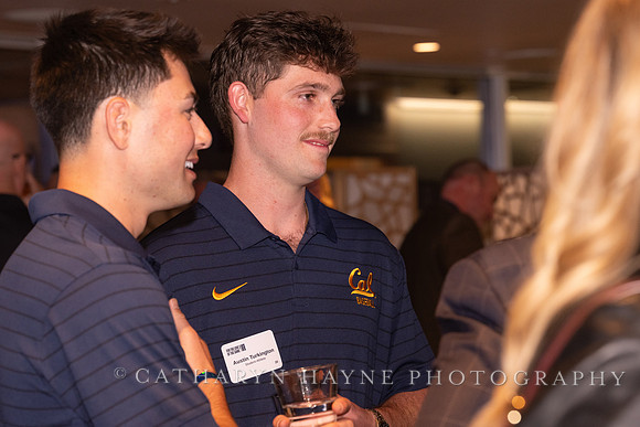 Baseball: California Golden Bears : For the Love of the Game