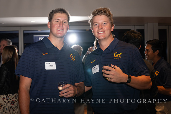 Baseball: California Golden Bears : For the Love of the Game