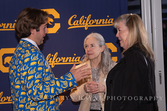 Baseball: California Golden Bears : For the Love of the Game