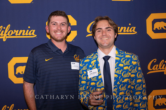 Baseball: California Golden Bears : For the Love of the Game
