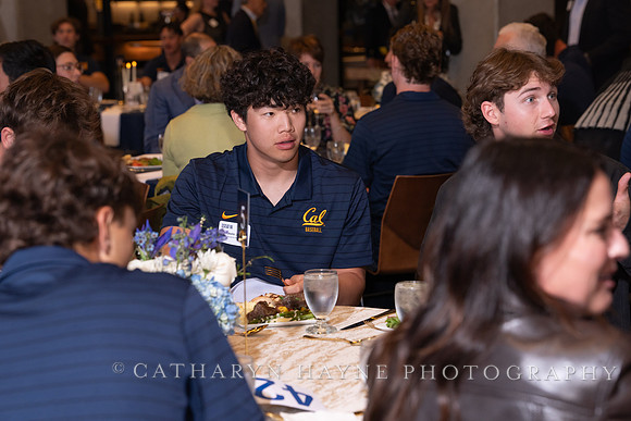 Baseball: California Golden Bears : For the Love of the Game