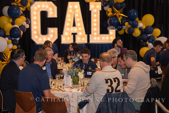 Baseball: California Golden Bears : For the Love of the Game
