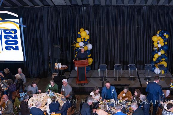 Baseball: California Golden Bears : For the Love of the Game