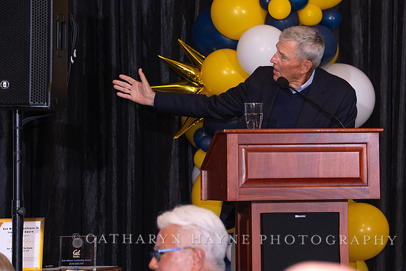 Baseball: California Golden Bears : For the Love of the Game