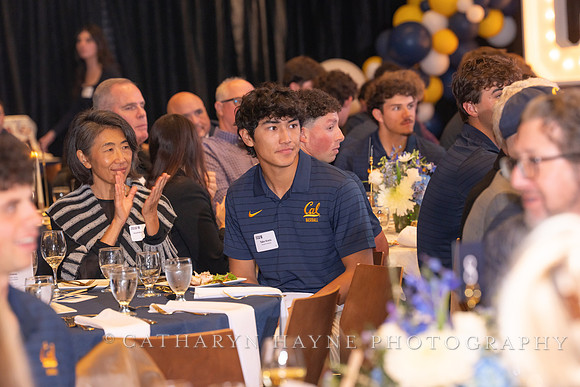 Baseball: California Golden Bears : For the Love of the Game