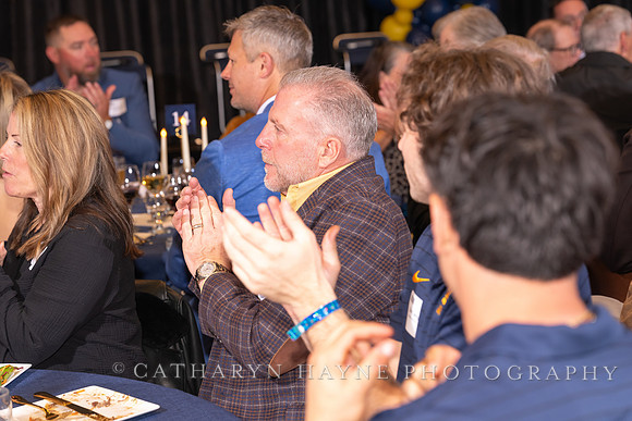 Baseball: California Golden Bears : For the Love of the Game