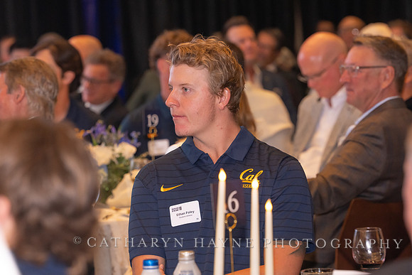 Baseball: California Golden Bears : For the Love of the Game