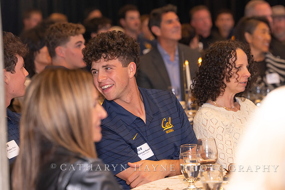 Baseball: California Golden Bears : For the Love of the Game