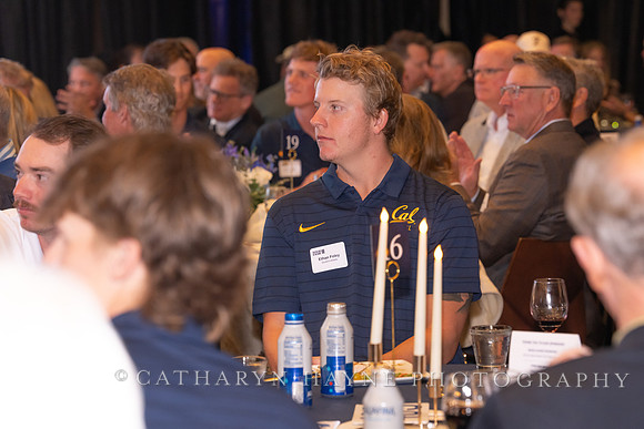 Baseball: California Golden Bears : For the Love of the Game
