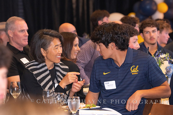 Baseball: California Golden Bears : For the Love of the Game