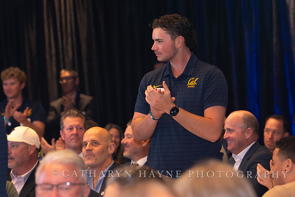 Baseball: California Golden Bears : For the Love of the Game