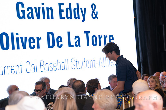 Baseball: California Golden Bears : For the Love of the Game