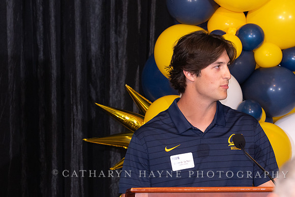 Baseball: California Golden Bears : For the Love of the Game
