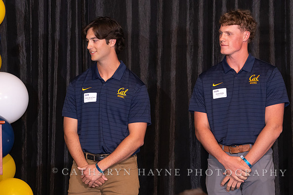 Baseball: California Golden Bears : For the Love of the Game
